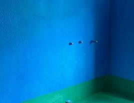 阜新市卫生间测漏水多少钱